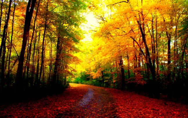 Beautiful Autumn Wallpapers