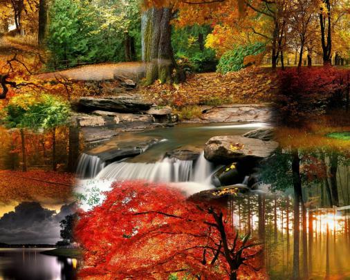 Fall Free Desktop Wallpapers