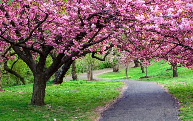 Beautiful Nature Wallpaper