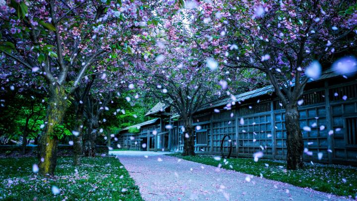 Beautiful Desktop Wallpapers and Backgrounds (60+ images)