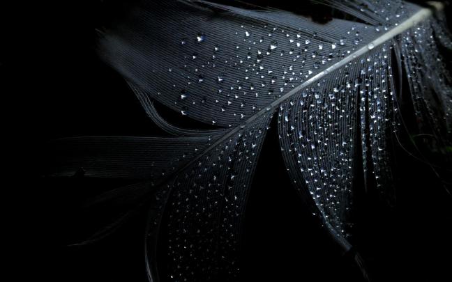 Full Black Desktop Wallpapers