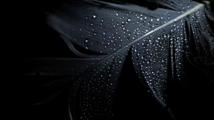 Dark Desktop Backgrounds