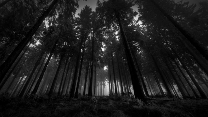 Dark Desktop Background \u00b7\u2460 