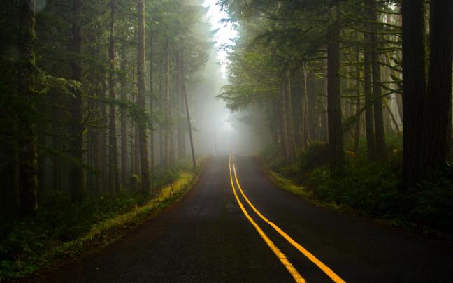 road, Dark, Forest Wallpapers HD \/ Desktop and Mobile Backgrounds