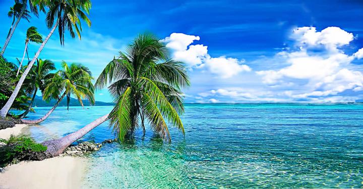 60+ Live Backgrounds For PC Free Download
