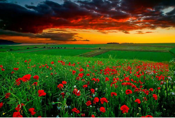 Beautiful High Resolution Desktop Wallpapers ~ Latest images Free Download