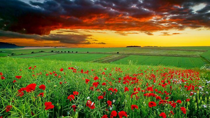 HD Nature Wallpapers for Desktop (65+ images)