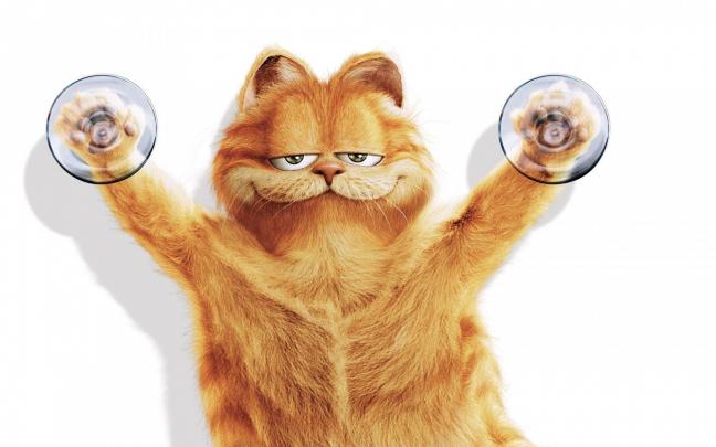 Funny Cat Desktop Wallpapers