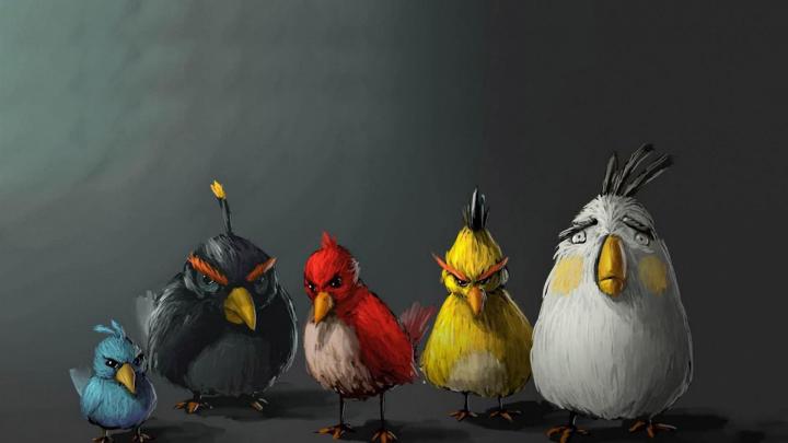 Funny HD Wallpapers 1080p \u00b7\u2460 