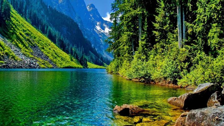 63+ 4K Nature wallpapers \u00b7\u2460 Download free HD backgrounds for desktop 
