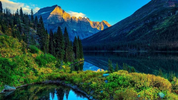 Real Nature Desktop Wallpapers