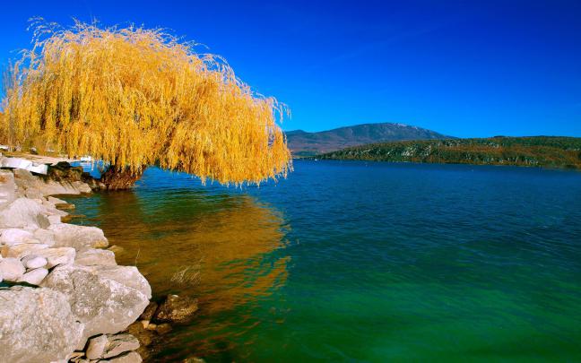 New Nature Wallpaper HD \u00b7\u2460 