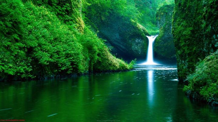 Nature Wallpapers