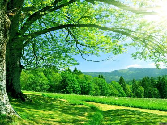 Nature-Hd Wallpapers For Desktop