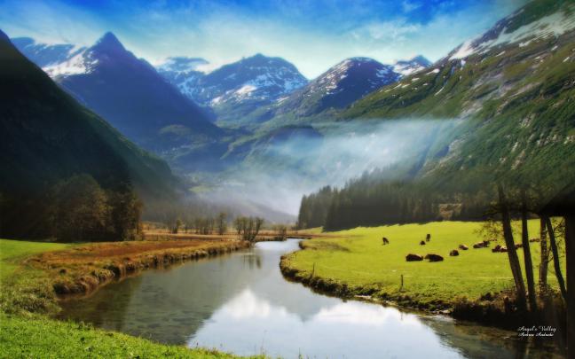 Nature Wallpapers