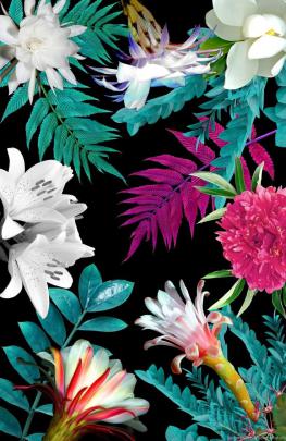 Iphone Wallpapers On Pinterest Desktop Background
