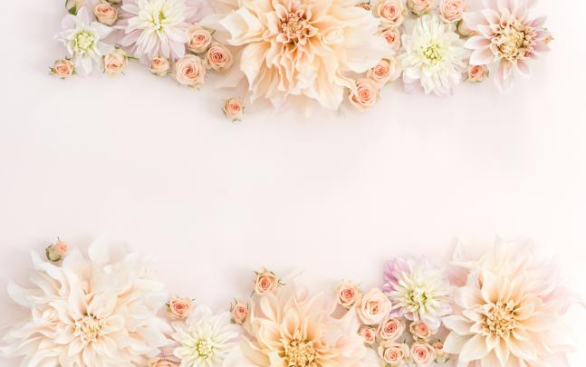 Best 59+ Pinterest Backgrounds on HipWallpaper | Pinterest Plum 