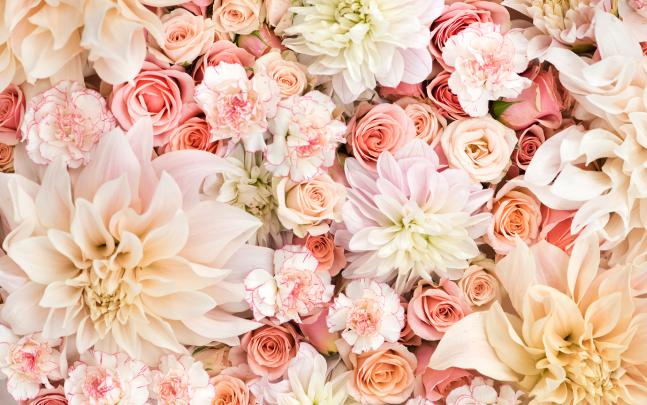 Best 59+ Pinterest Backgrounds on HipWallpaper | Pinterest Plum 