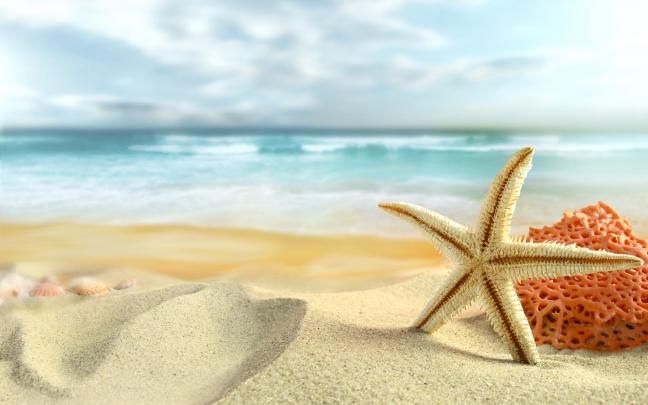 Summer HD Wallpapers