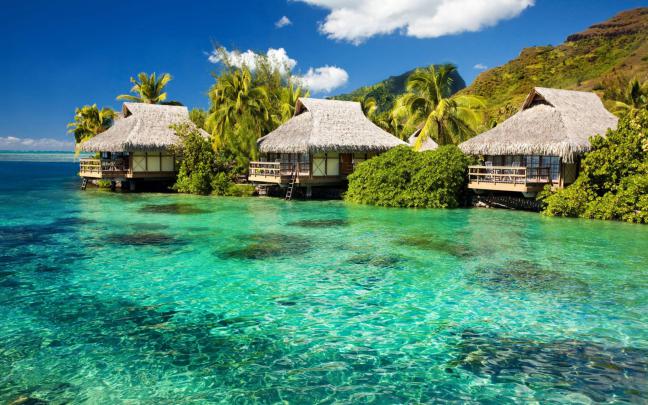 Summer Wallpapers HD
