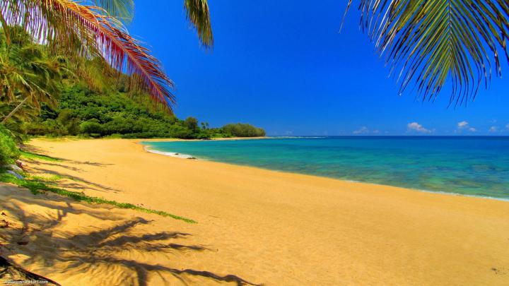 Summer Desktop Backgrounds Free