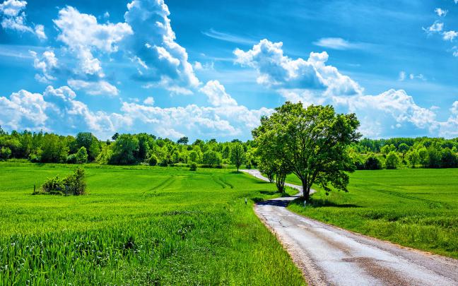 Summer Nature Wallpaper \u00b7\u2460 