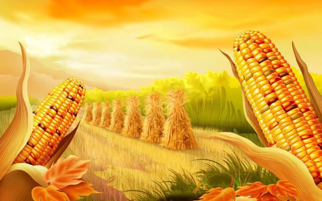 Thanksgiving Wallpaper Backgrounds Free