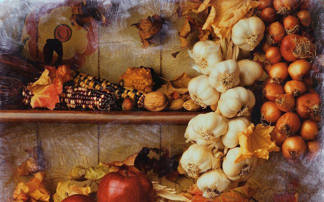 Fall Thanksgiving Wallpapers