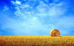 Summer Desktop Wallpaper