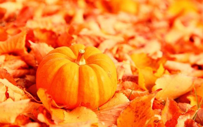Cute Halloween Desktop Backgrounds