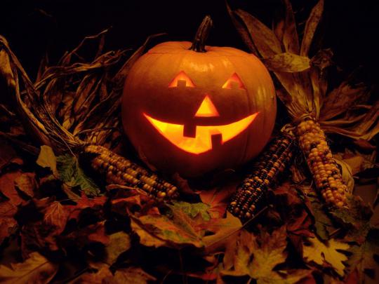 Cute Halloween Desktop Backgrounds