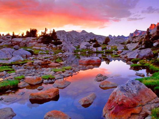 Cool And Beautiful Nature Desktop Wallpaper Image 1680x1050 