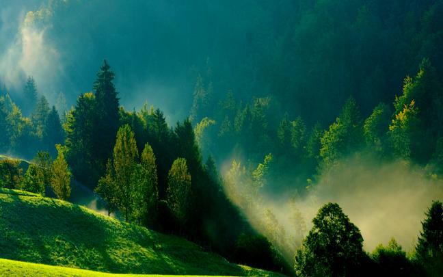mist wallpaper - HD Desktop Wallpapers