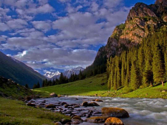 Forest River Desktop Background 594036