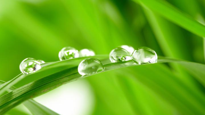 Green Desktop Wallpaper (77+ images)