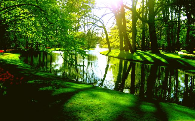 Download Green Spring Wallpaper Gallery
