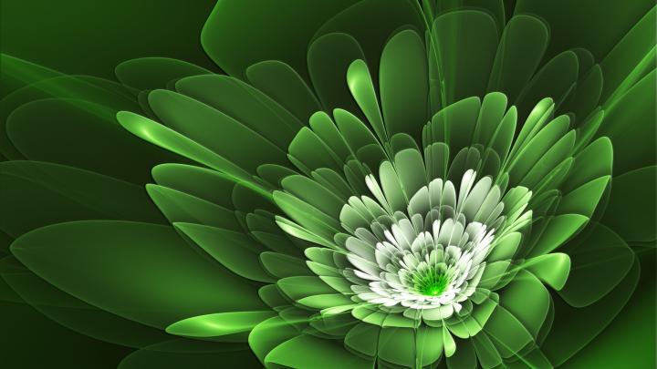 45 HD Green Wallpapers\/Backgrounds For Free Download