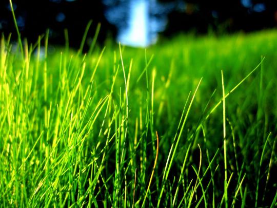 Desktop Wallpaper Green Background - Green Wallpapers - Gallery 