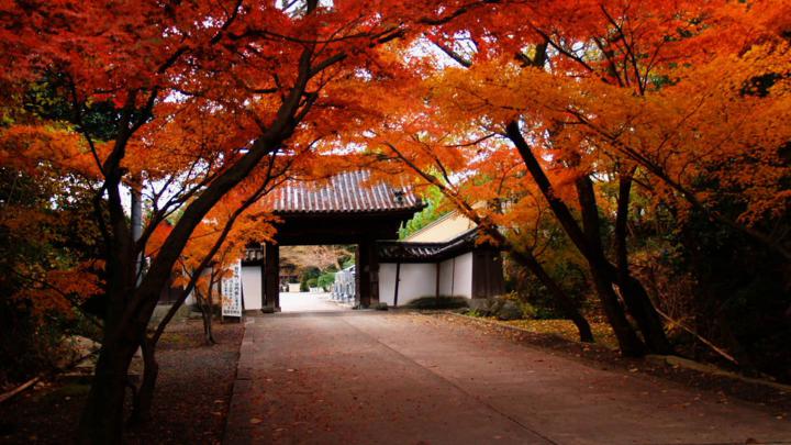 Autumn Japan Wallpapers