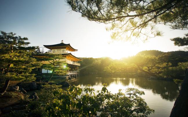 landscape, Nature, Sunrise, Park, Kyoto, Trees, Lake, Pagoda, Japan 