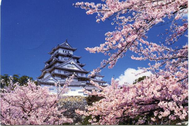[46+] Japanese Castle Desktop Wallpapers 