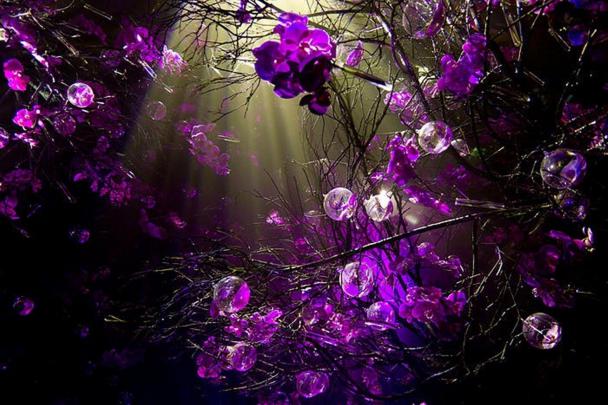 Purple Desktop Wallpaper