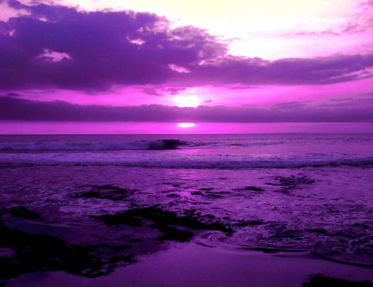Purple Computer Backgrounds