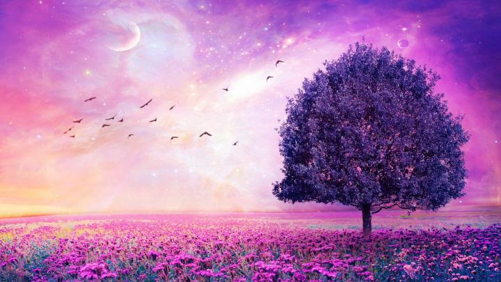 Purple Wallpaper Desktop (77+ images)