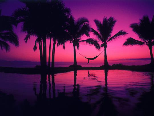 43 HD Purple Wallpaper\/Background Images To Download For Free