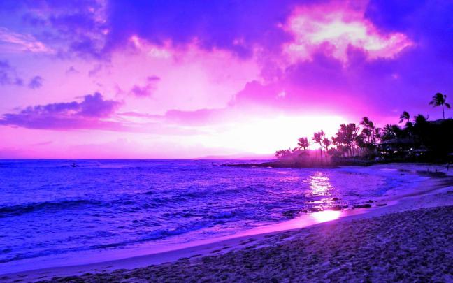 Purple Scenic Wallpapers