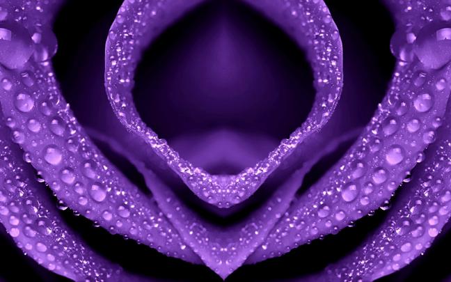 Purple Wallpaper Desktop (77+ images)