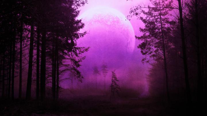 210+ Amazing Purple Backgrounds | Backgrounds | Design Trends