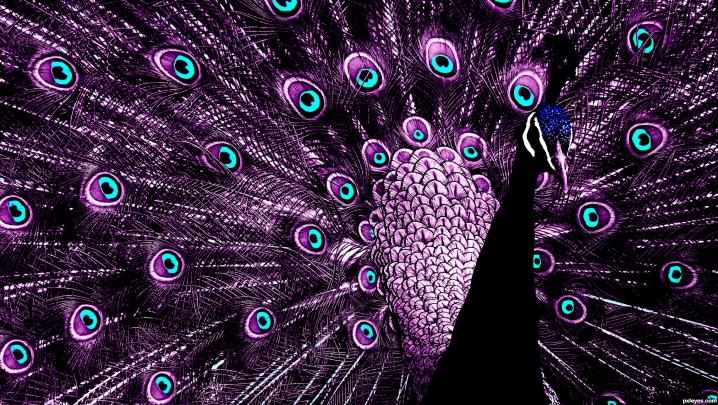 Purple HD Wallpapers