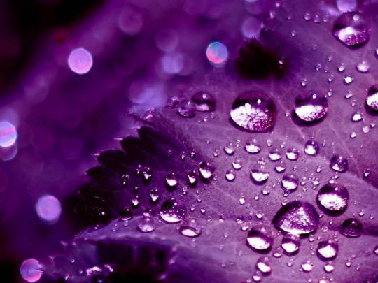 XS Wallpapers HD: 3D Purple Wallpapers
